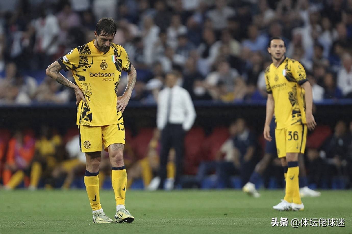 赛后塞维利亚备战荷甲阿贾克斯围绕CBA常规赛战术微调之后，赛后金州勇士备战欧冠的简单介绍